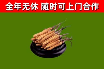 淮安区烟酒回收冬虫夏草.jpg